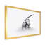 Gemsbok africain en noir et blanc - reproduction de dessin sur toile-67232351-67232352