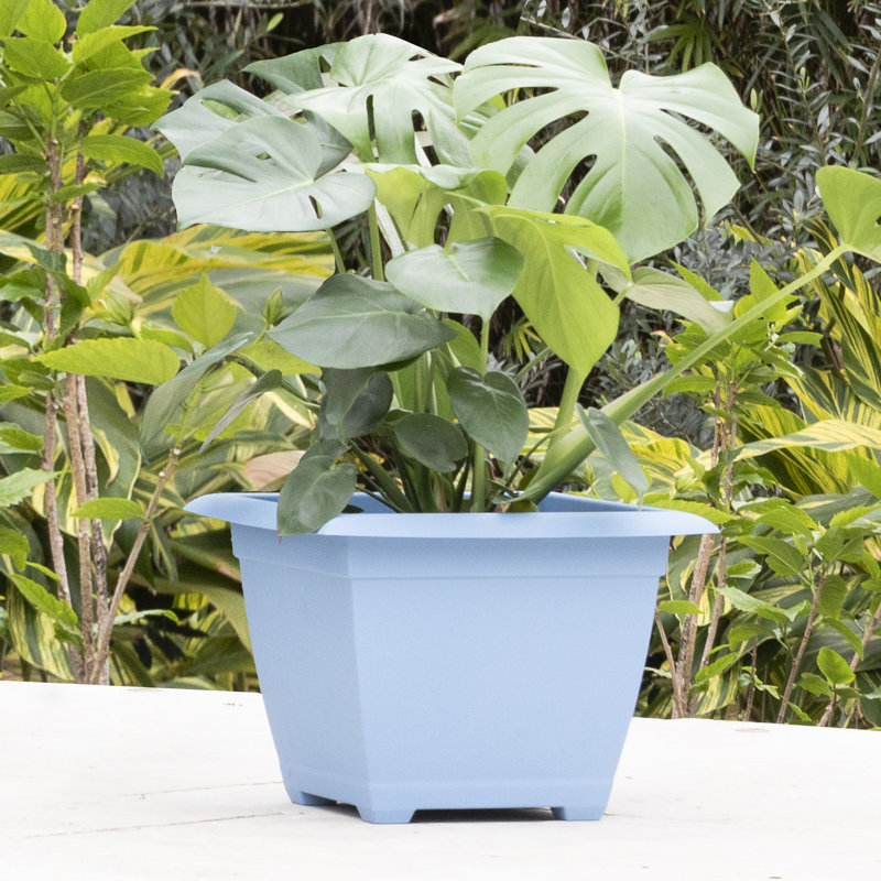Dayton Recycled Plastic Square Box Planter, Ocean Blue