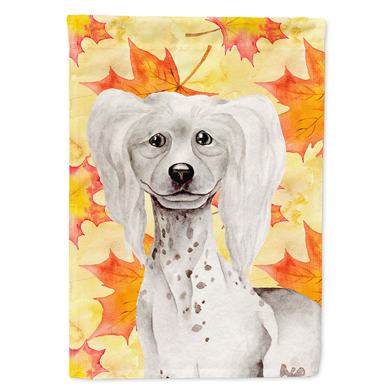 Automne 2 côtés en polyester 15 x 11 po drapeau de jardin, Chien chinois à crête blanc