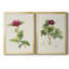 «Pretty Pink Botanicals II», ensemble de 2 impressions sur toile encadrées-1800022737-1800022747