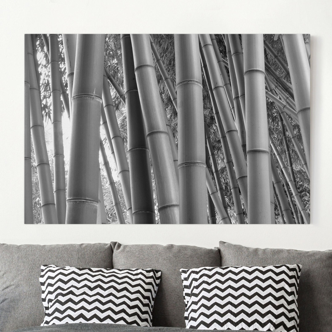 Leinwandbild Bamboo