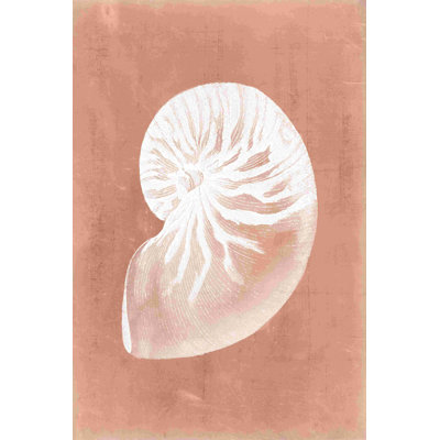 Sealife sur corail V