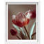 Muse of Spring Shadowbox Floral & Botanical Print by Oliver Gal, Black Frame, 16 x 20-1698418586-1698418587