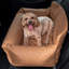Lit pour voiture Pupprotector-2062649643