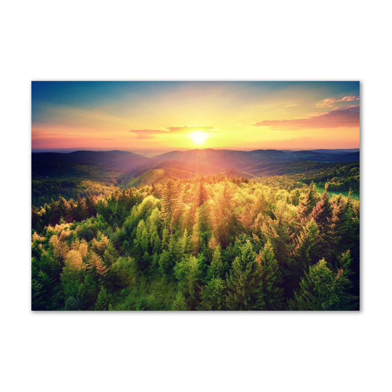Forest Sunset - Wrapped Canvas Print