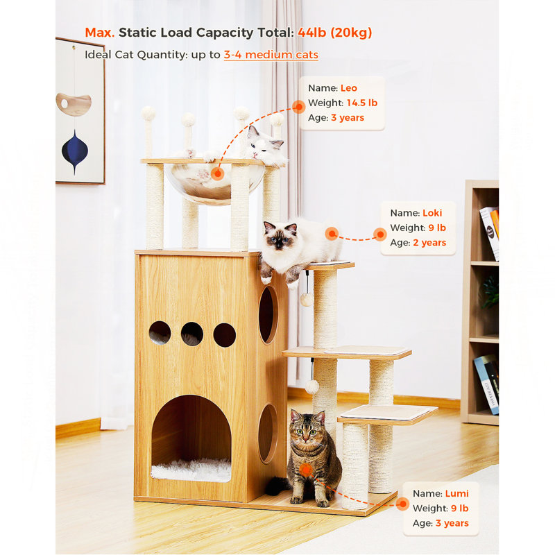 Arbre à chat 51 po, H 51,2 po x l 15,7 po x L 31,5 po, Naturel
