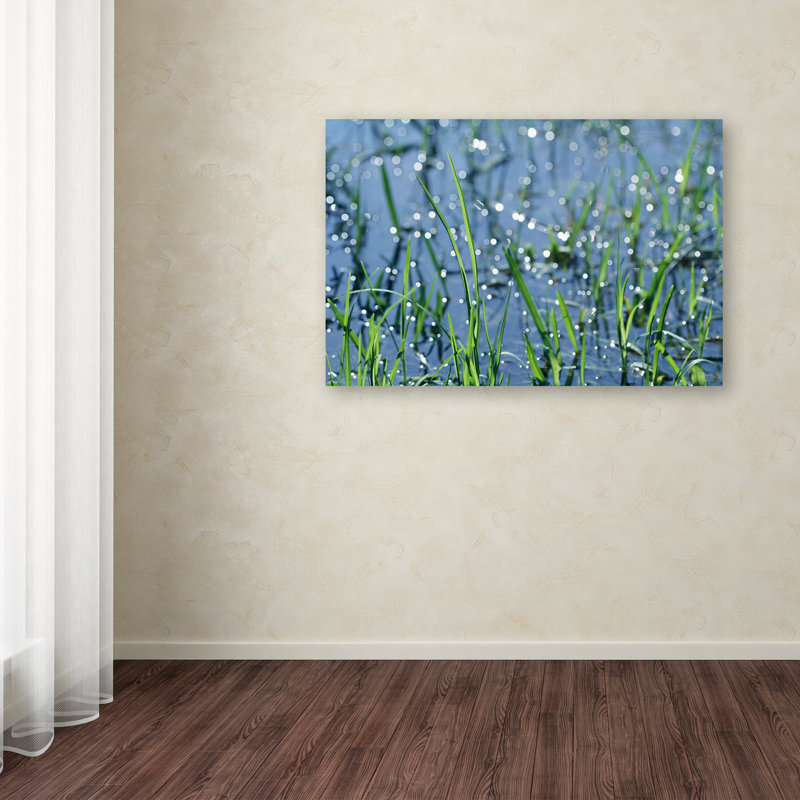 « after the rain », reproduction de photo sur toile tendue, H 12 po x l 19 po x P 2 po