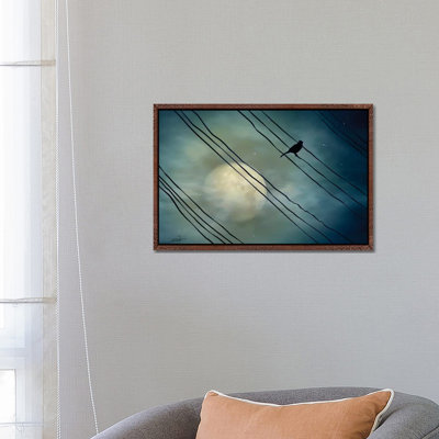 Pássaro Ao Luar (Bird Moonlight) 1 Piece Wall Art on Canvas