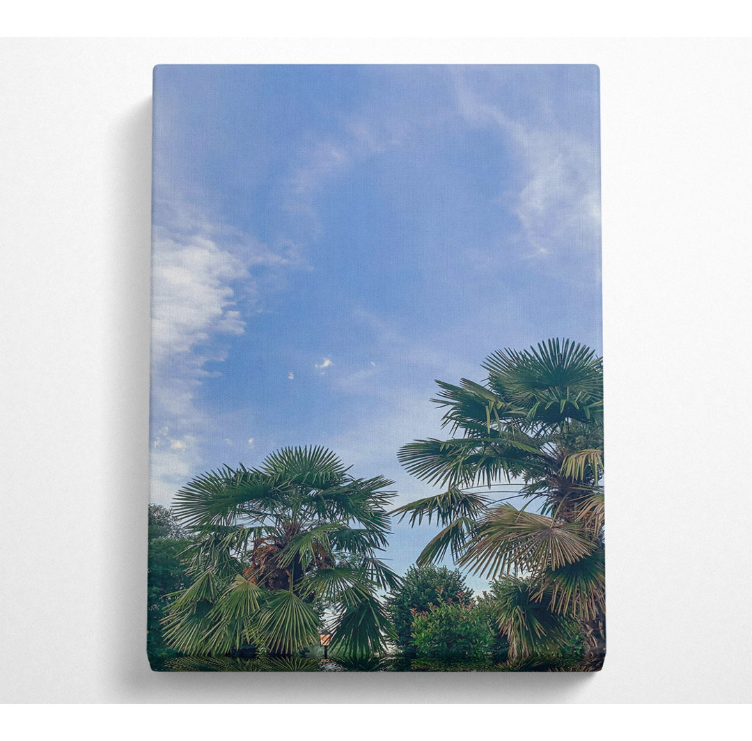 Azure Sky Palms