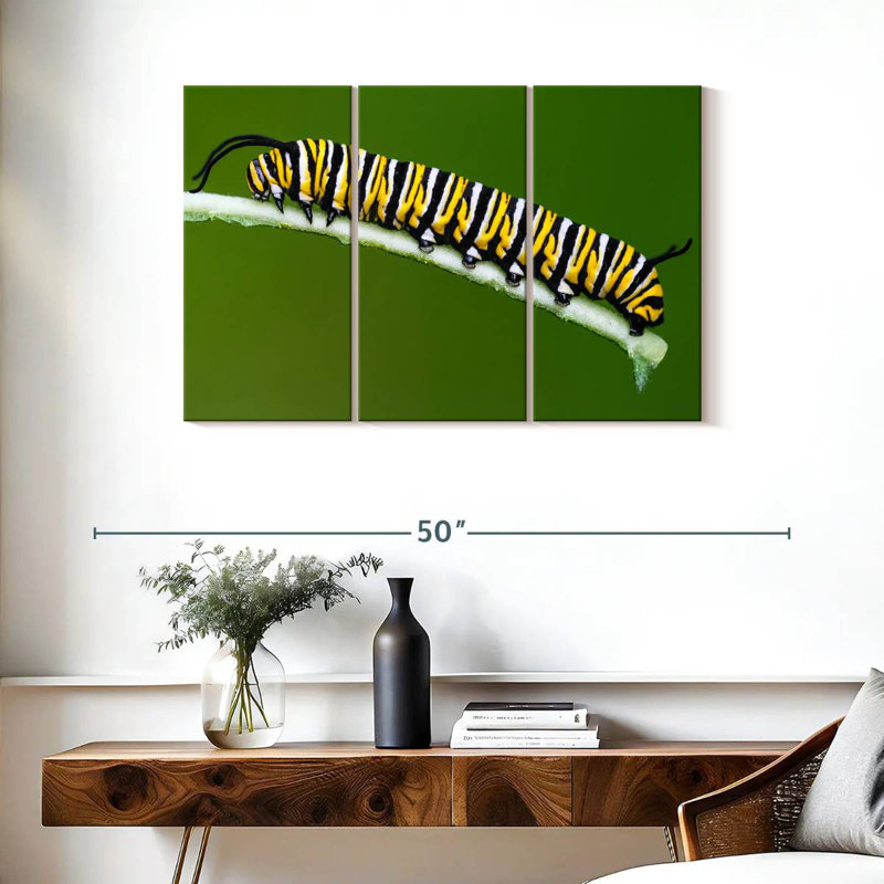 Striped Monarch Caterpillar, 24" H x 38" W