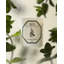 Spearmint Candle