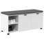 Storage Bench-1993808447