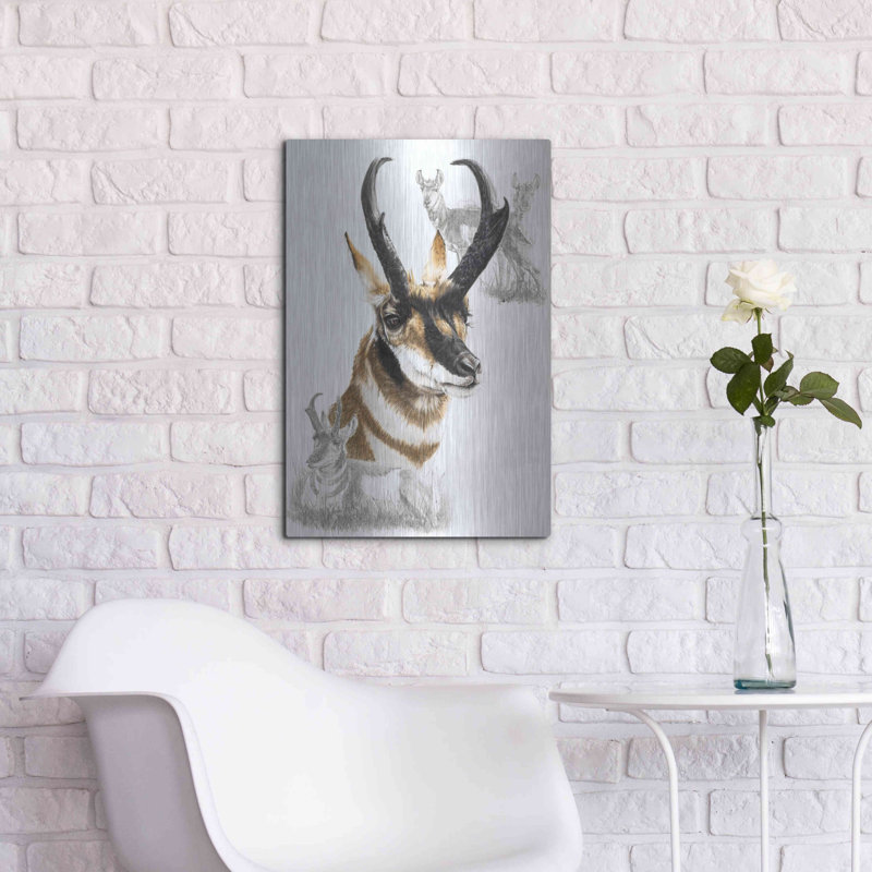 "Pronghorn" par Barbara Keith, H 24 po x l 16 po