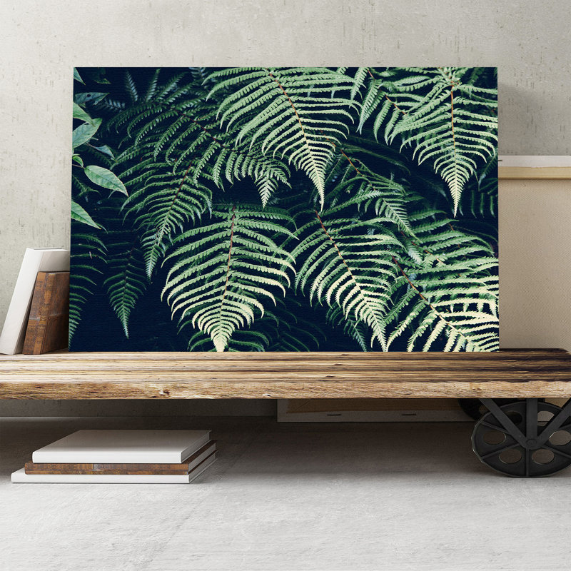 Fern Leafs Photographic - Wrapped Canvas, 50cm H x 76cm W