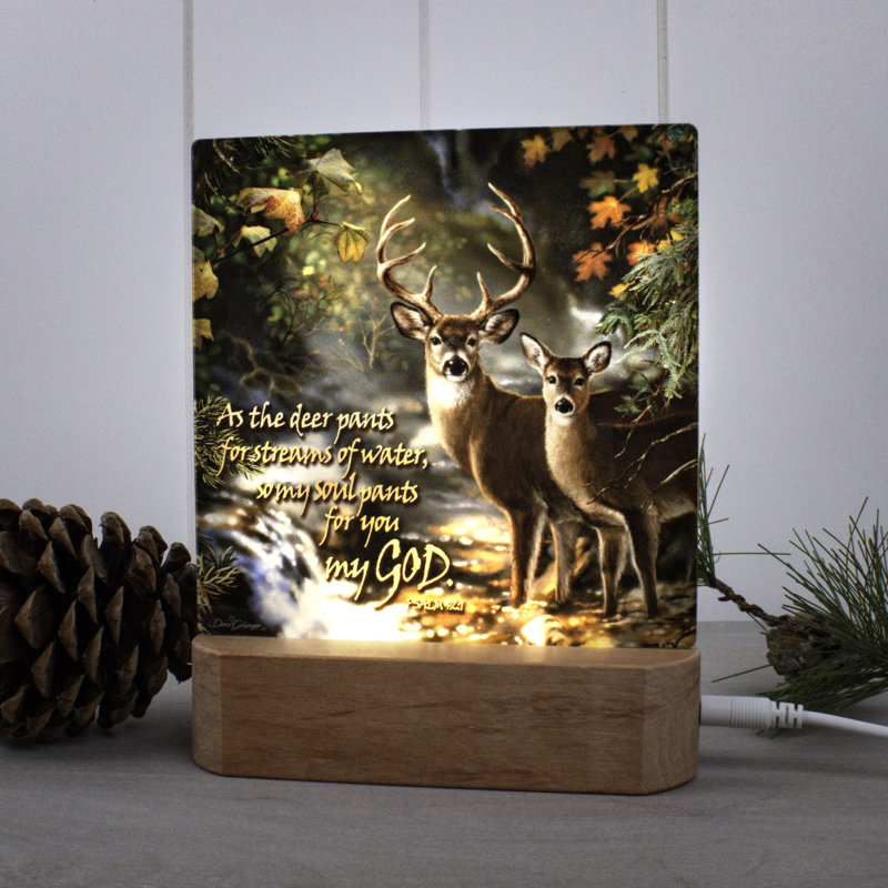 Deer Creek W/ Scripture Night Light