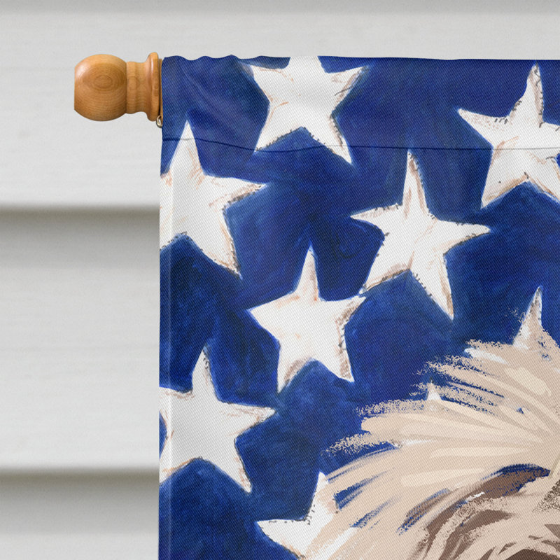 Polyester à 2 côtés 28 x 40 po drapeau maison, Grand Griffon de Vendée