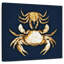 Crabes bruns bleu marine-109229770