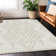 Malek Indoor/Outdoor Area Rug with Non-Slip Backing
