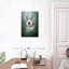 Husky sur l'herbe-1571849150