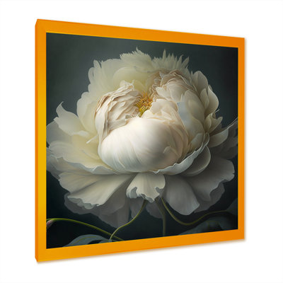 Pivoine blanche sur fond noir I - pivoine
