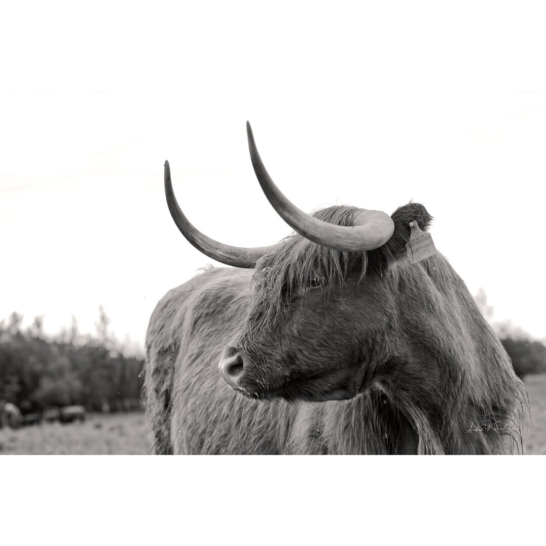 Leinwandbild On the Ranch I von Andre Eichman