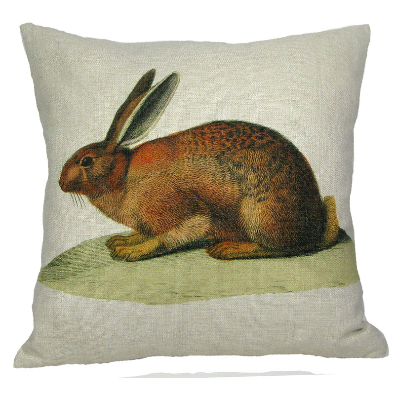 Throw Pillow