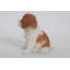 Statue chiot king charles assis