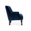 Edgeley Velvet Tufted Armchair-1601922037
