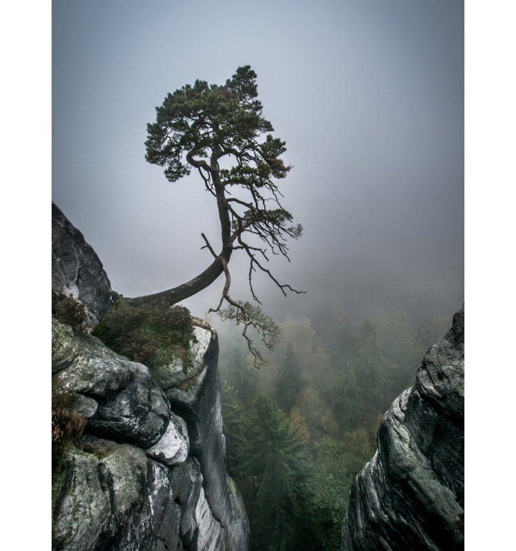 Wrapped Canvas Print, 121.92 cm H x 81.28 cm W