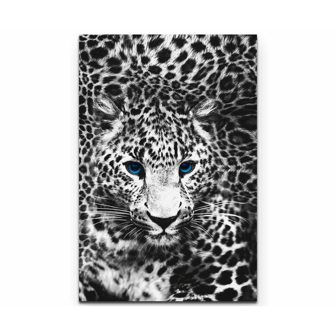 Leinwandbild "Fotografie weißer Leopard mit blauen Augen"