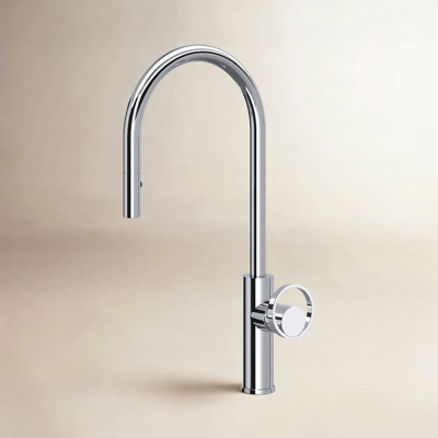 AllModern Linwood Pull Down Kitchen Faucet