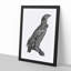 Spotted Eagle Illustration - Framed Print-55729840-55729842