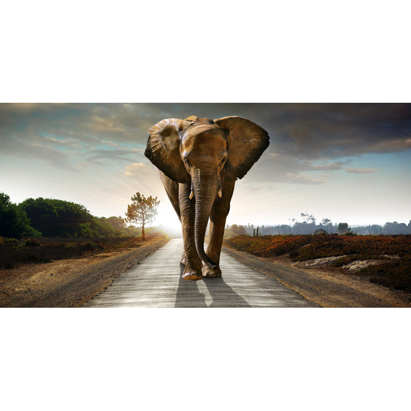 Wrapped Canvas Print, 120cm L x 60cm W