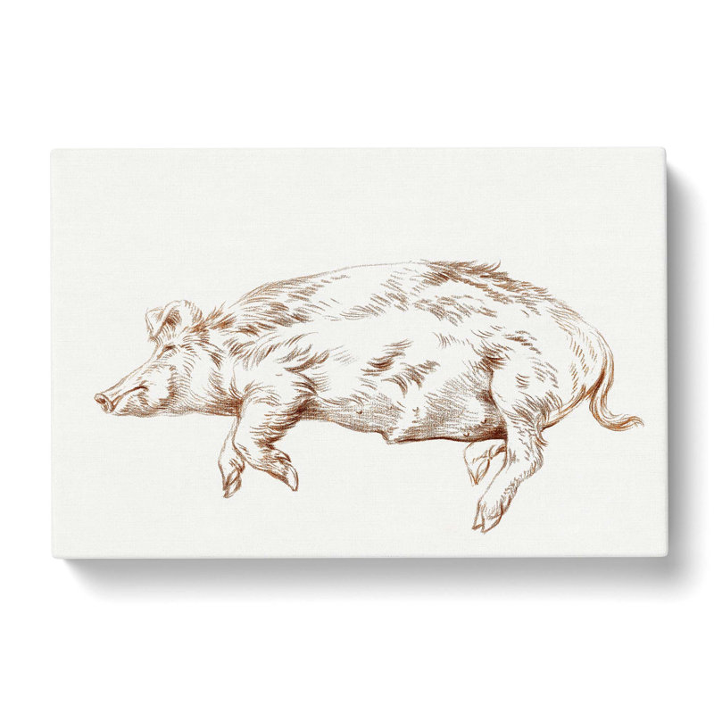 Resting Pig by Jean Bernard - Wrapped Canvas Drawing - Wrapped Canvas, 50cm H x 76cm W x 3cm D