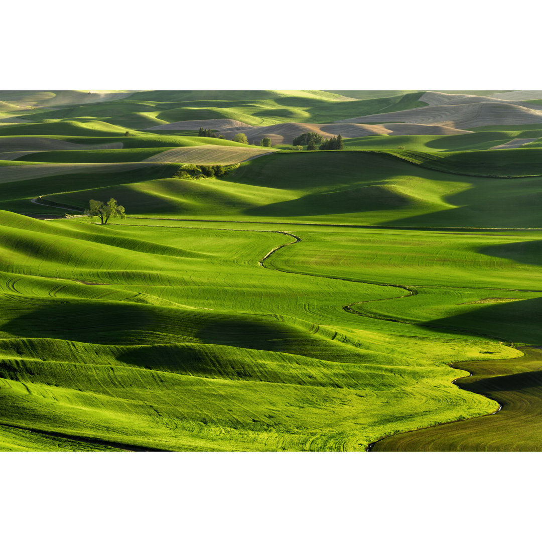 The Palouse Rolling Hills von Justinreznick - Kunstdrucke auf Leinwand