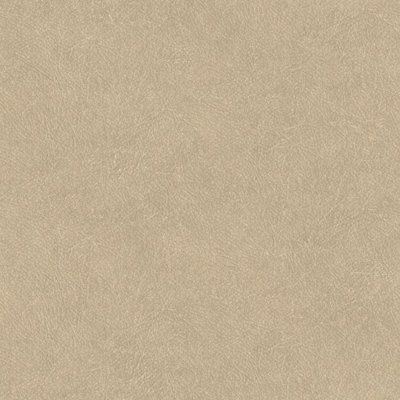 Praveen 10.05m x 53cm Matte Double Roll