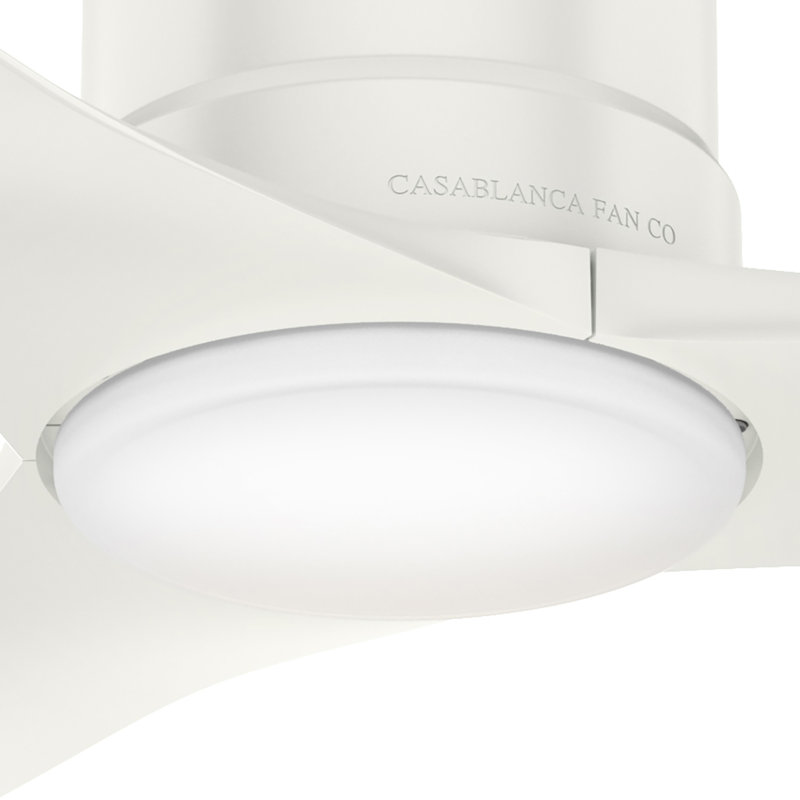 52'' Piston 3 -Blade Outdoor Standard Ceiling Fan with Remote Control and Light Kit Included, White