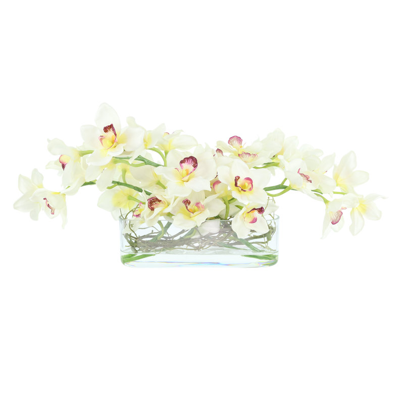 Orchidées et saule bouclé disposés dans un vase en verre ovale, Vert / crème