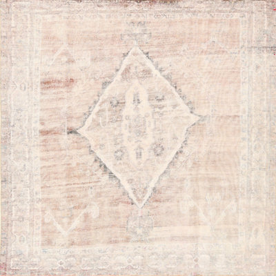 Oriental Indoor Rug