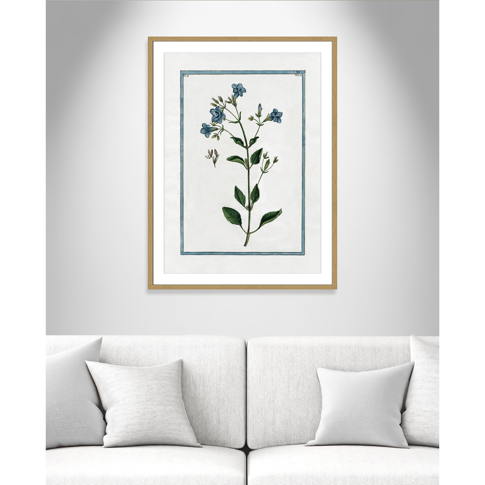 Shabby Elegance Botanical II - Framed Art, 25.5" W x 35.5" H, Natural Framed