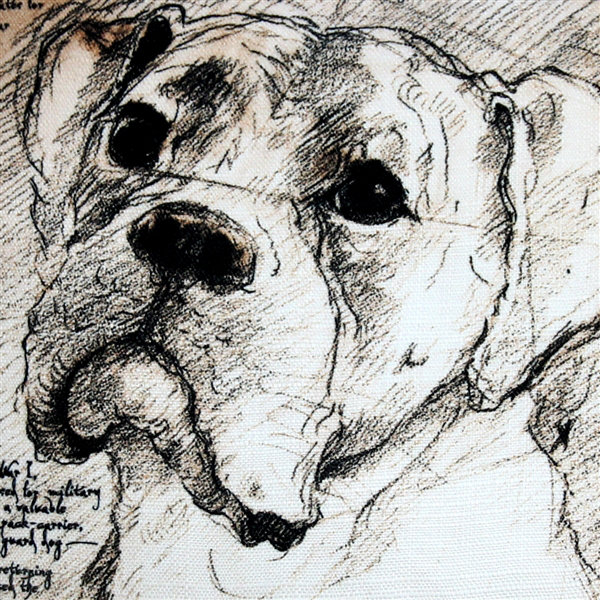Coussin intérieur/extérieur boxer dog Cecilwood