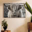 Toile tendue Highland Skye-Gallery-1577066715