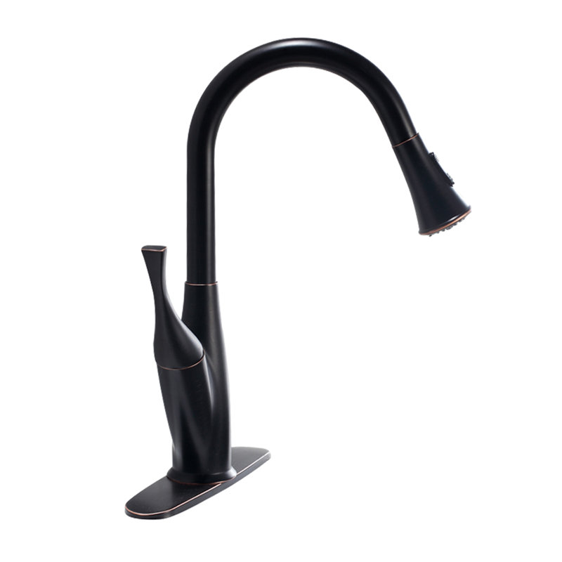 Topcraft Single-Handle Pull-Out Kitchen Faucet