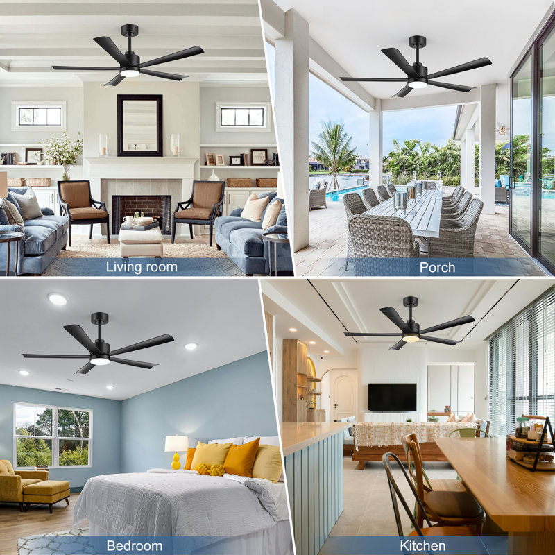 Raguel 52" 5-Blade Downrod Ceiling Fan with LED Light and Remote Control, Matte Black