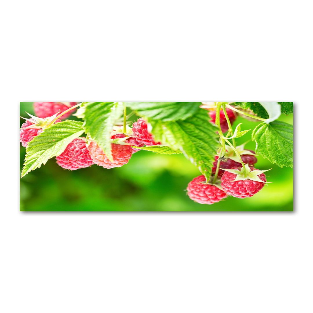 Himbeeren im Garten - Kunstdrucke auf Leinwand