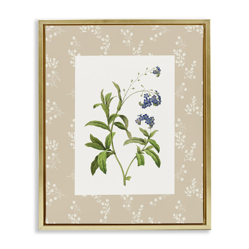 Cadre flottant Botanical Plate Design, design par Val Rhodes, Cadre flottant métallique doré, H 21 po x l 17 po
