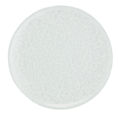 Plateau en verre Wrought Studio ™ Gozdon