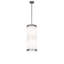 8 - Light Pendant
