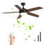 Ceiling Fan with LED Lights