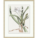 Achromatic Fleur 2 Print